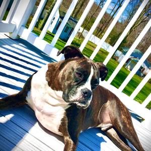 Meet your Posher, Jonathan